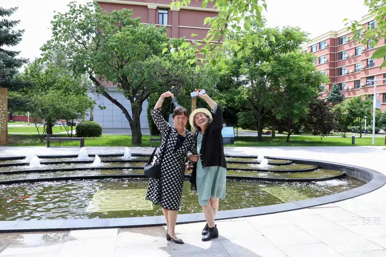 重返校园梦,与老同学的时光之旅 重返校园梦,与老同学的时光之旅